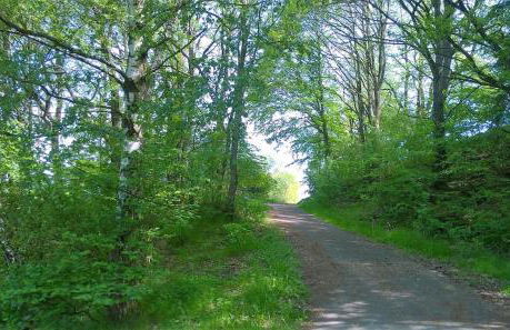 Ferienwohnung Ziegler - Foto 11