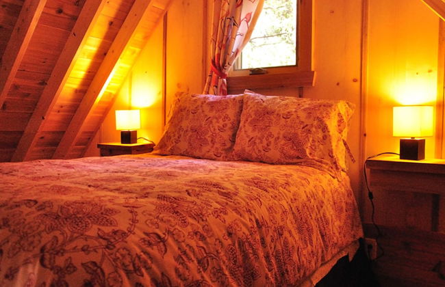 Les Chalets du Trappeur - Photo 2