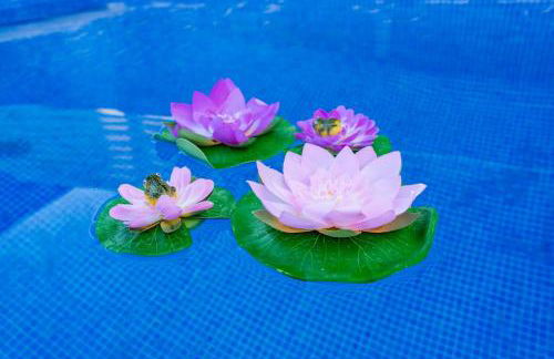 Amazing Duplex with private pool close to Seville - Photo 77