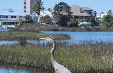 Condo in Gulf Shores King Suite - Photo 6