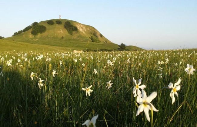 Belvilla by OYO Lupo - Foto 35