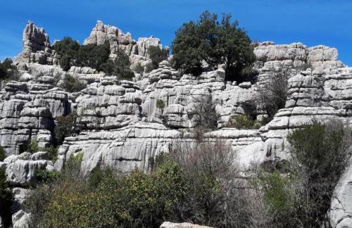 Family Stay with Private Pool - Foto 36