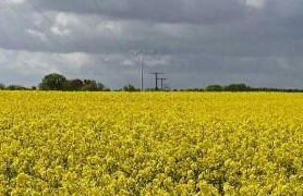 Ferienwohnung Zimmert - Photo 14