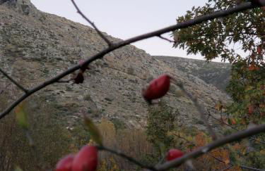 Las Tejeruelas Casa Rural - Foto 6