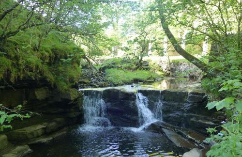 Middlehope Cottage - Photo 28