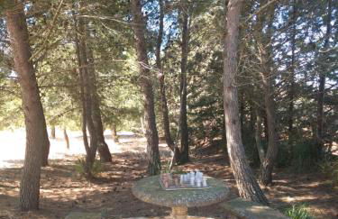 Stria House - Foto 41