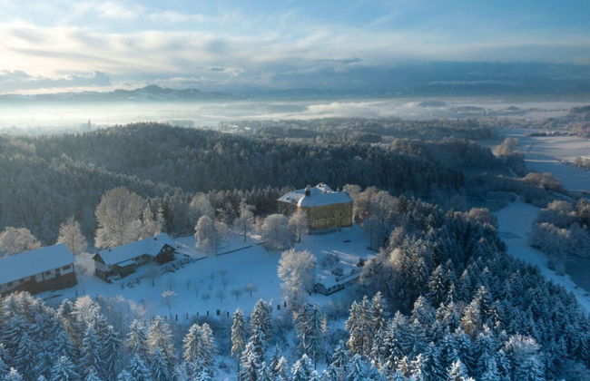 Aurelia - Gut Hornegg - Foto 27