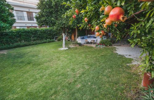 Zacharoulas Katikies - Foto 27