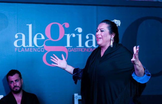 Espetáculo de flamenco no Alegría - Foto 9