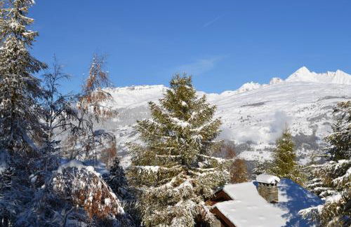 Fabulous chalet La Plagne - ski in-ski out - Sauna with Mont Blanc view - Foto 17