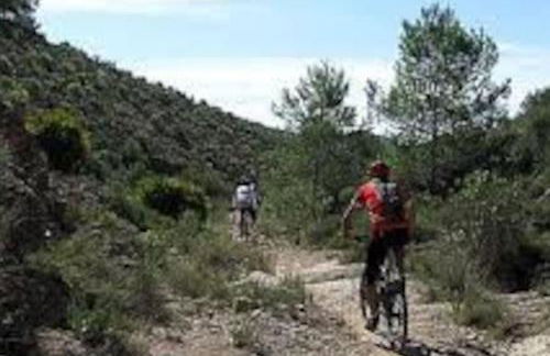 Casa de campo muy grande, con piscina y pistas - Foto 5