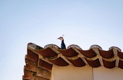 Quinta da Foz - Foto 75