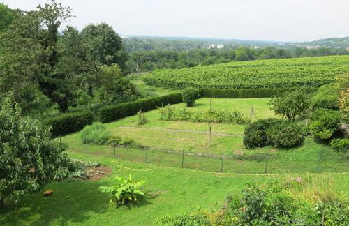 Ferienwohnung Billich - Foto 15