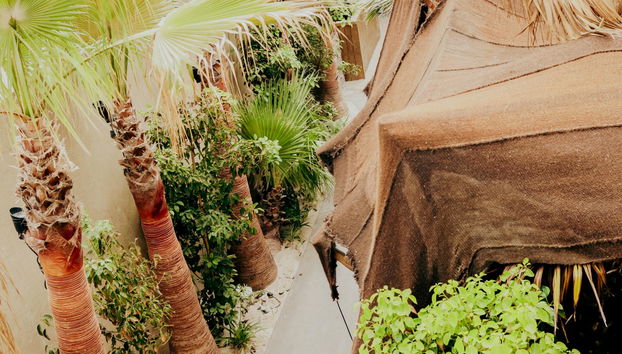 Bora Bora Apartamentos - Adults Only - Foto 4