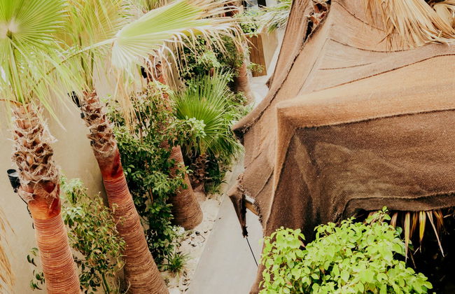 Bora Bora Apartamentos - Adults Only - Foto 4