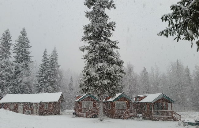 Gwin's Lodge & Roadhouse Est. 1952 - Foto 75