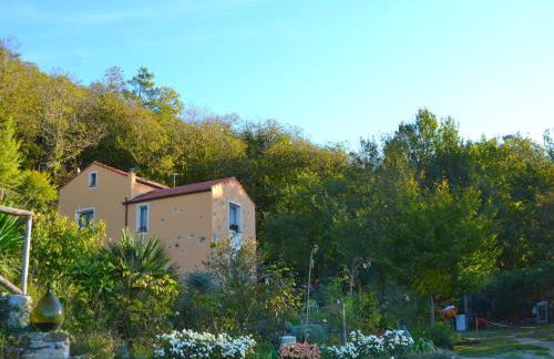 Woodland Escape With Pool - Foto 44