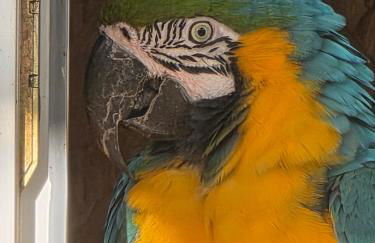 Nid du merle avec sauna et jacuzzi privatif - Foto 53