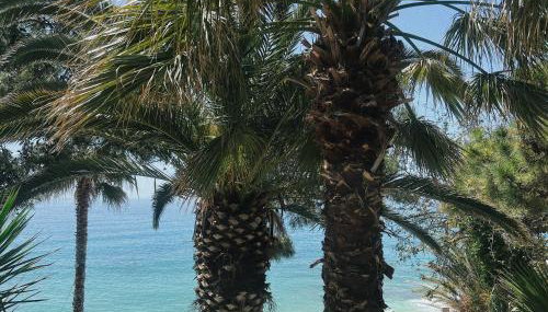 Ktima Papaoikonomou 2 - Foto 4