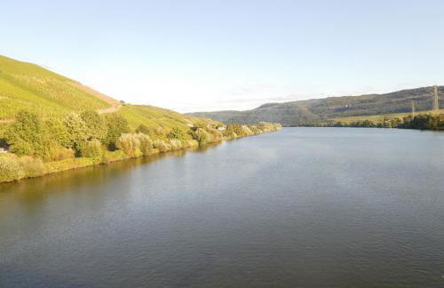 Hausboot Moselrose in Pölich - Foto 38