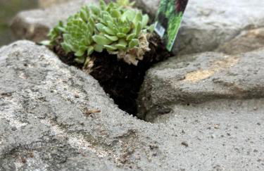 Break Time Holidays Königsee, ein Juwel im Thüringer Wald - Foto 41