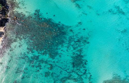 Kahana Falls Maui by VRI Americas - Foto 34