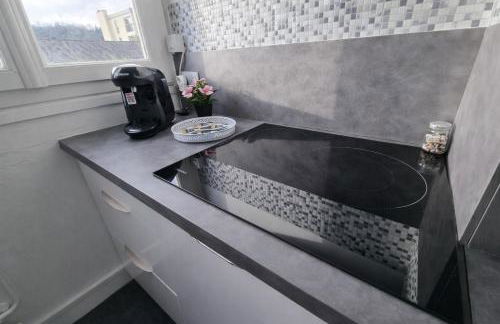 Emeraude du centre Elbeuf Confort et Elegance - Foto 41