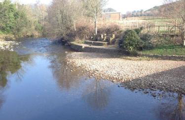 Black Bull Barn - Photo 17