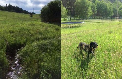 Rustic Pet-Friendly Cabin with Private Deck near Newcastle, Wyoming - Foto 16