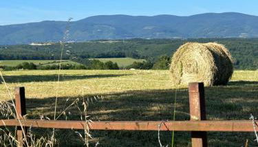 Aux portes du Sidobre - Foto 4
