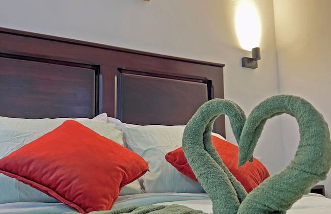 Monteverde Magic Mountain - Foto 6