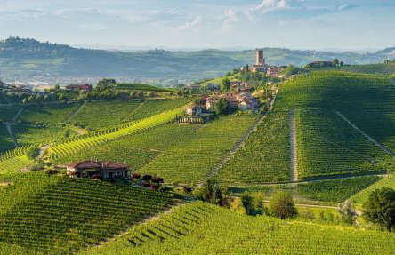 Cozy renovated designer appartment with special price winter 2026 - Foto 4