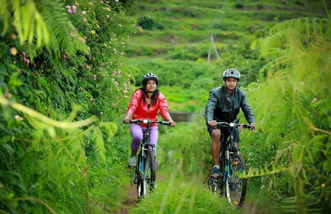 The Pear County - Foto 33