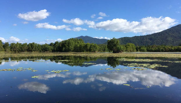 Excursão a Cattana e às cataratas de Barron + Skyrail Rainforest - Foto 3, Lago Jabiru, no pântano de Cattana