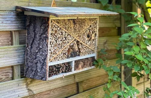 Old School Nausdorf - Foto 6