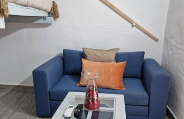 El Pitijopo - Foto 13