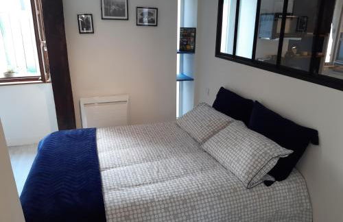 Appartement Haute Ville meublé avec cour privative - Foto 5