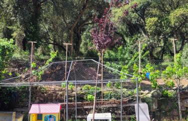 Trocito de Paraíso en la Sierra Espadán - Foto 25