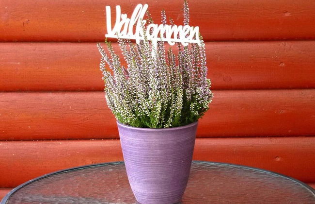 4 Person Holiday Home in Bralanda-by Traum - Photo 13