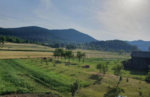 Apartmani Fenestra -Zagorka - Foto 19