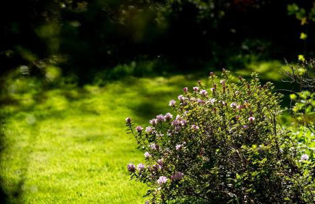 Charming 18th Century property - Foto 48