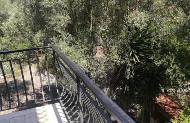 Verde & Mare - Photo 59