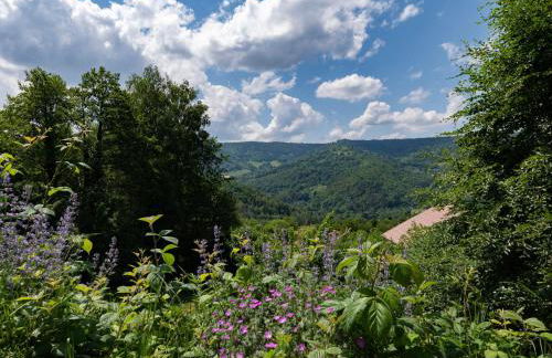Chalet ensoleillé dans les Hautes Vosges avec terrasse, local vélos et skis, charges incluses - FR-1-589-486 - Foto 9