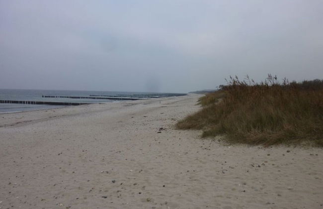 Holiday Apartment Sanddorn WE 7 - Photo 11