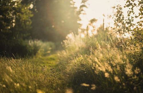 Wildgrün Panorama Lodge 4 - Foto 11