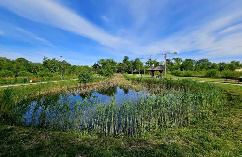 Countryside studio - Foto 21