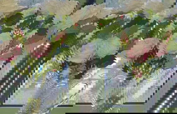 Best House Green Home Eleofito Agrinio - Foto 16