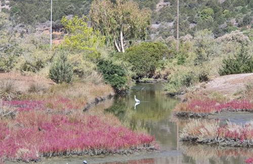 Villa Dunes 350m from the sandy beach - Foto 53