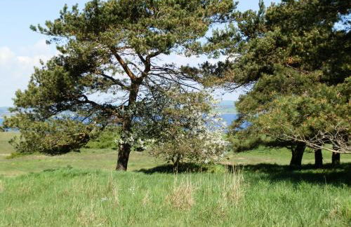 Ferienhaus "Sommerbrise" - Foto 26