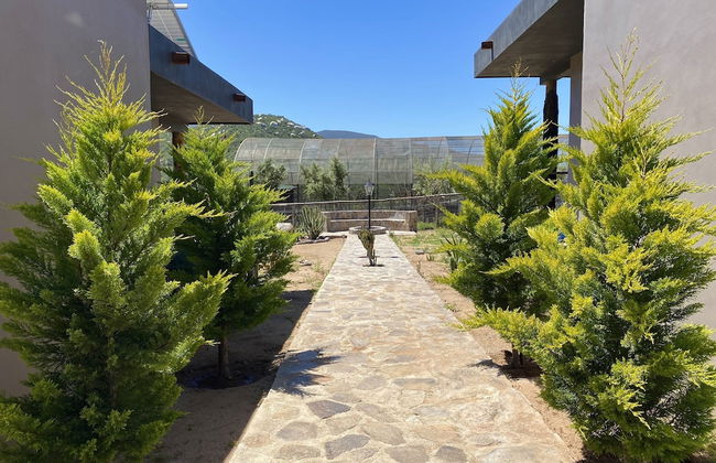 Coquenas del Valle - Photo 31